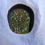 La Sosta Di Fano 3*