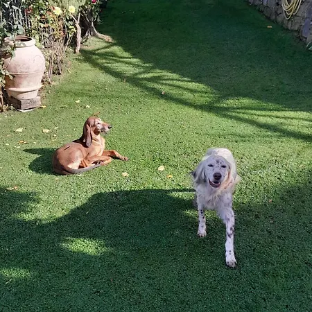 La Sosta Di Fano Reggello